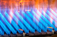 Newton Arlosh gas fired boilers
